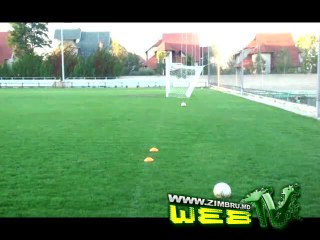 David VILLA vs. Eugen SIDORENCO