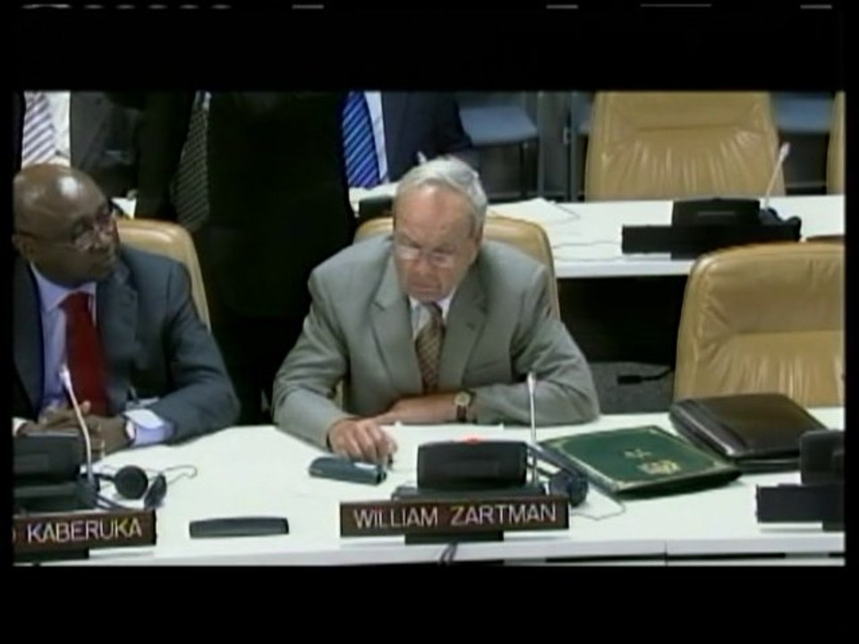 Intervention de M. William Zartman
