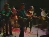 Emmylou Harris -Tennessee Rose with Hot Band live