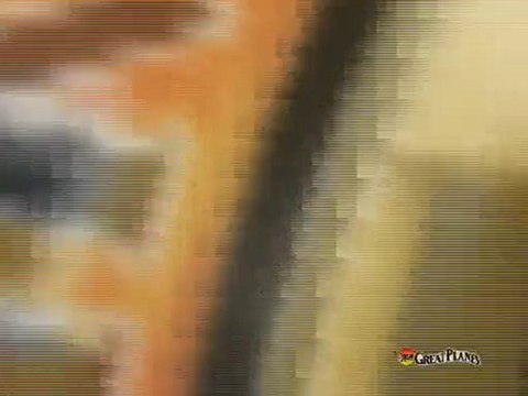 Great Planes P-40 Warhawk .25/EP ARF