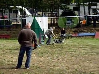 antoine et pepsi jumping saint féréol 2010