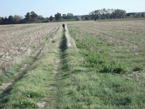 Promenade à Caritat Base -115 -