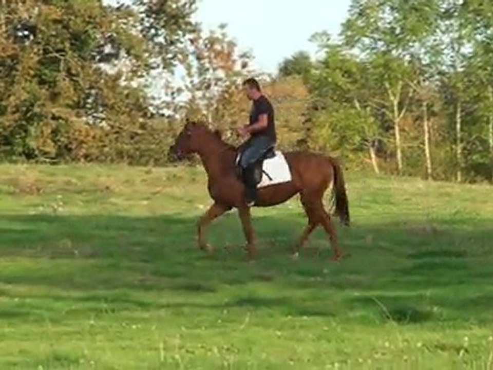 ulyssia du moulin et moi