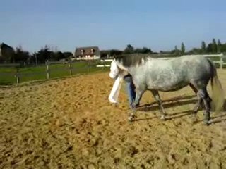 CONDUITE AVEUGLE 091010