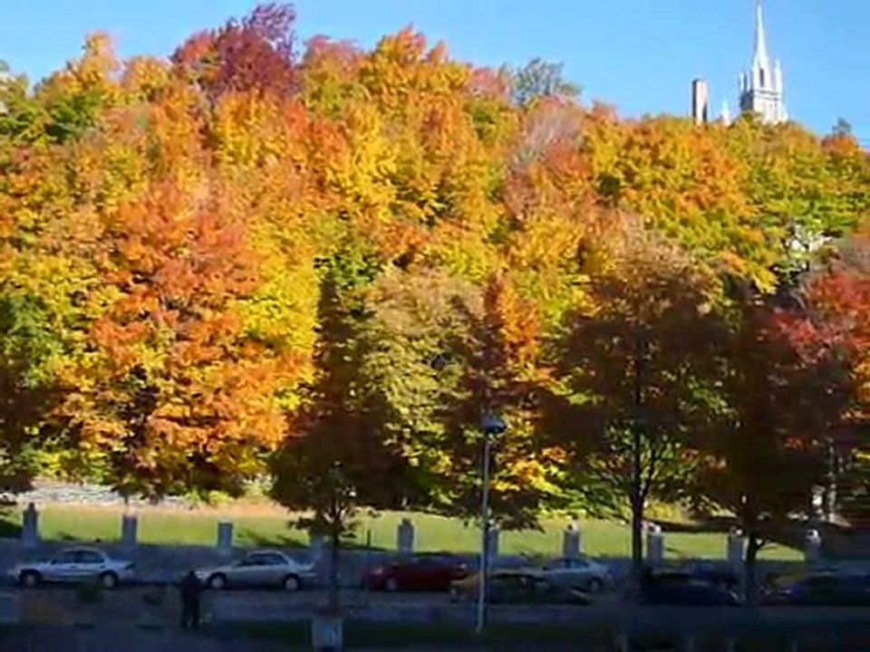 v021_Paysage d'automne