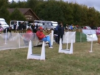 GPF Flyball 2010