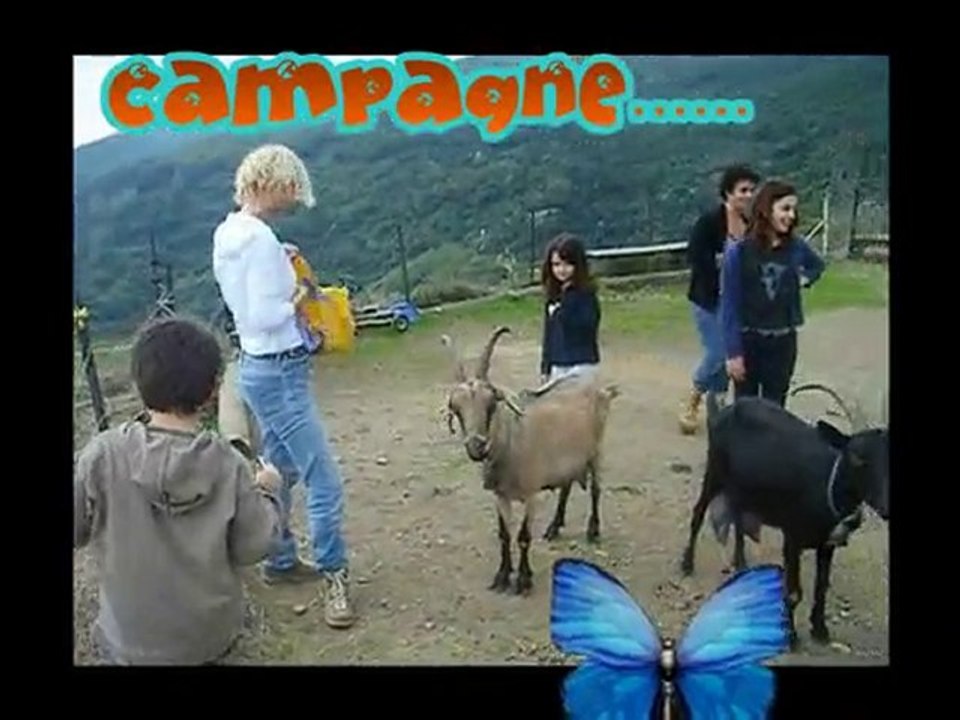 la bergerie , ville de pietrabugno