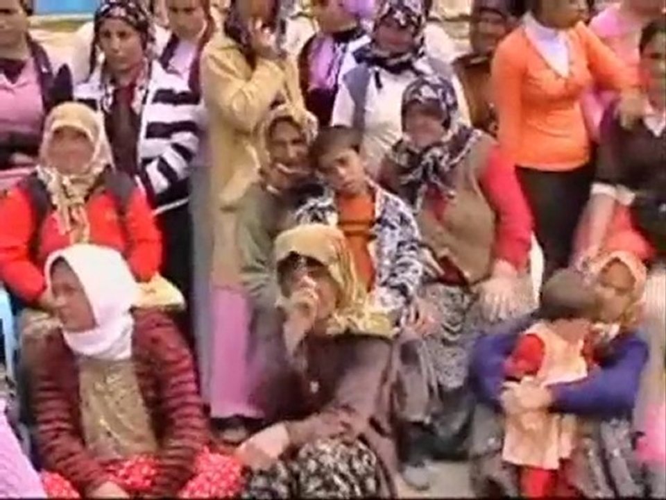 bazur e bazdana ape mis