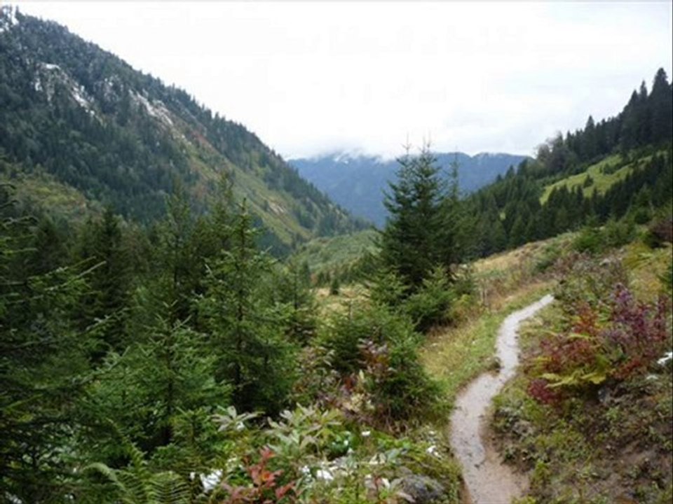 yeni amlakit-remzi bekar-tulum-www.kavrun.tr.gg