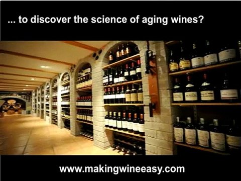 Making Wine at Home - Homemade Wine