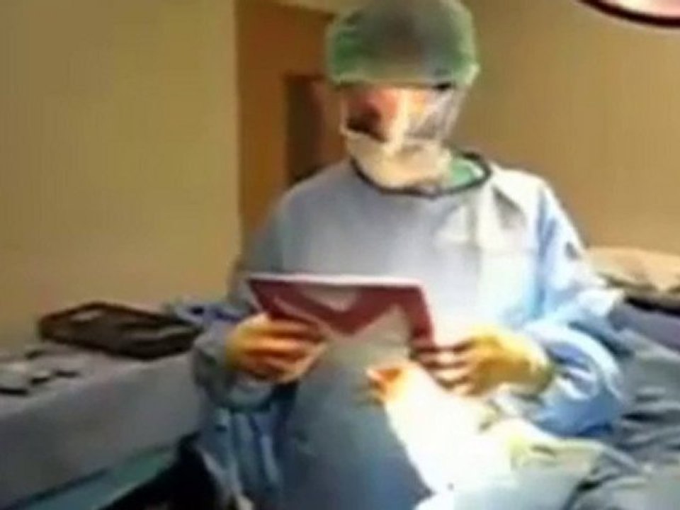 Search Marketing Consultant Wellington New Zealand