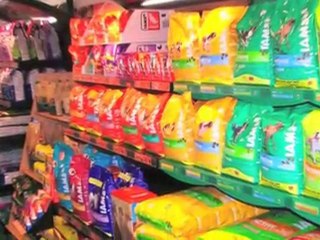 Hundeklipper Kolding Dyrebar