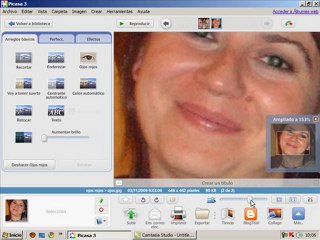 Video Tutorial Picasa 3 Retoque Fotografico