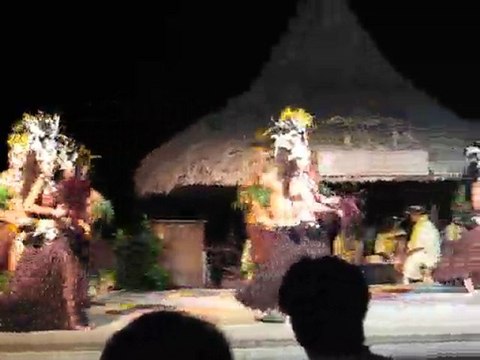 Danses Polynesiennes