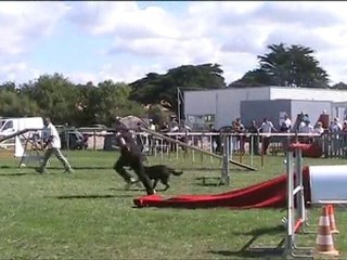 MOV010