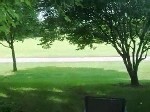 Homes for Sale - 113 Golfview Dr - Glendale Heights, IL 6013