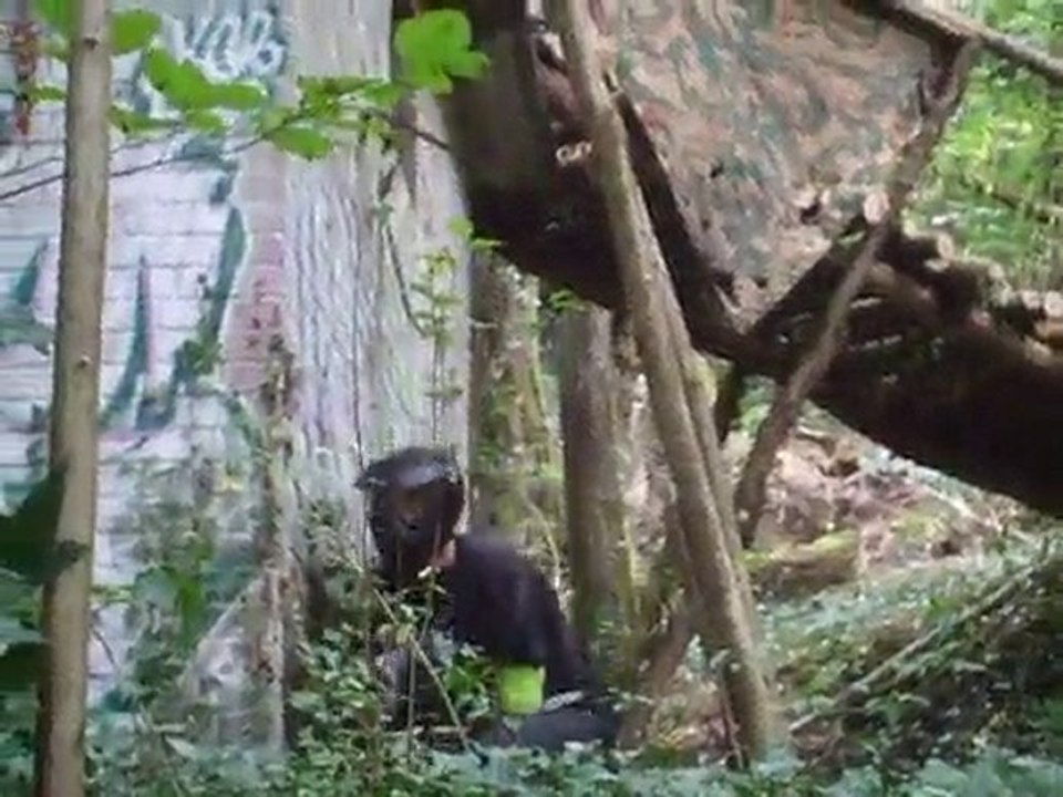 association Paintball55 à Tronville