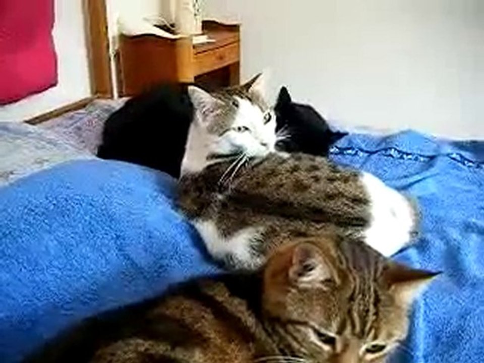 2010_0919retoursept0001-MPEG4 Video-1