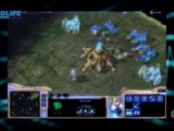 Nolife Corner : Oscillations, Starcraft II