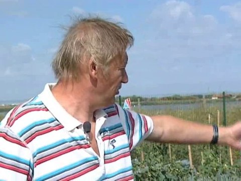 Calaisis TV : Un petit bout de terre a sangatte bériot-plage