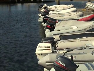 Seloc Marine Engine Manuals Product Demo