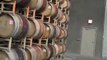 Lodi Zinfandel Wines Van Ruiten Family Winery Lodi Zins