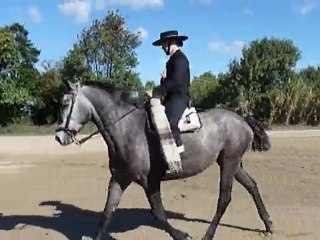 Doma Vaquera Débutant