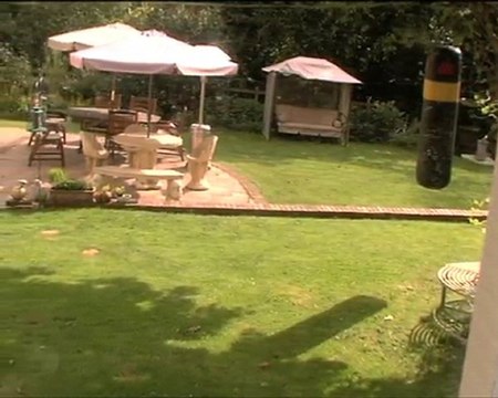 Kingswood Cattery - Catteries in Kingswood KT20