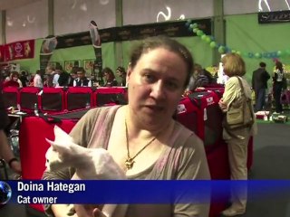 Cats take the stage at feline expo