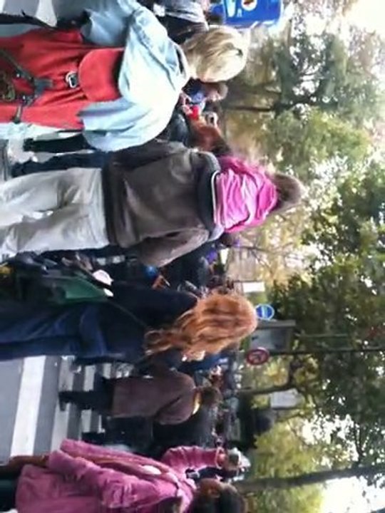 Paris Techno Parade 2010 part 1