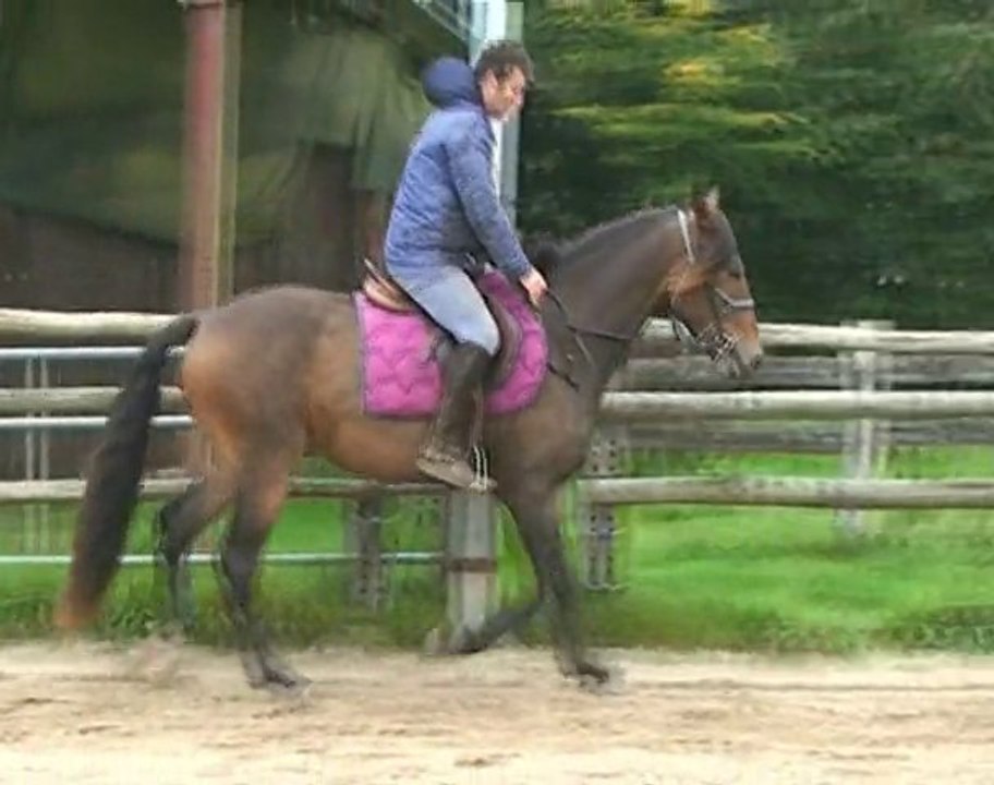 TULIO
