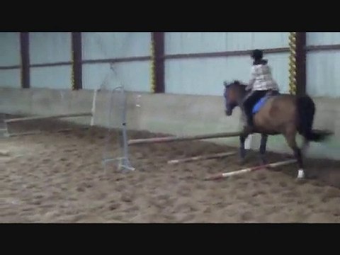 Séance Obstacle du Samedi 25 Septembre 2010