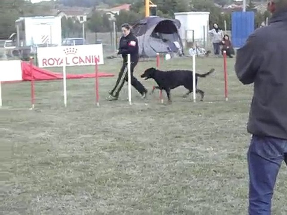 after jump  st juery