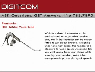 Plantronics H81 TriStar Voice Tube | Digitcom.ca (Business P