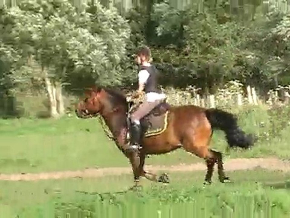 moi et quem's 1m10