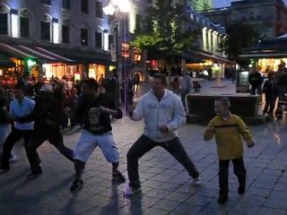 Stef le lion de MTL et son premier essai