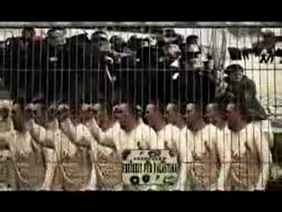 Freiheit für Palästina / Gaza