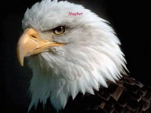 HOR BAKMA SEN TOPRAĞA / TOPRAKTA NELER YATUR..