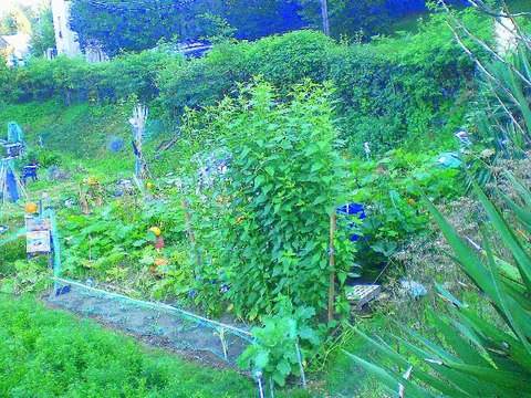 couleur du temps ,couleurs d'automne 2010