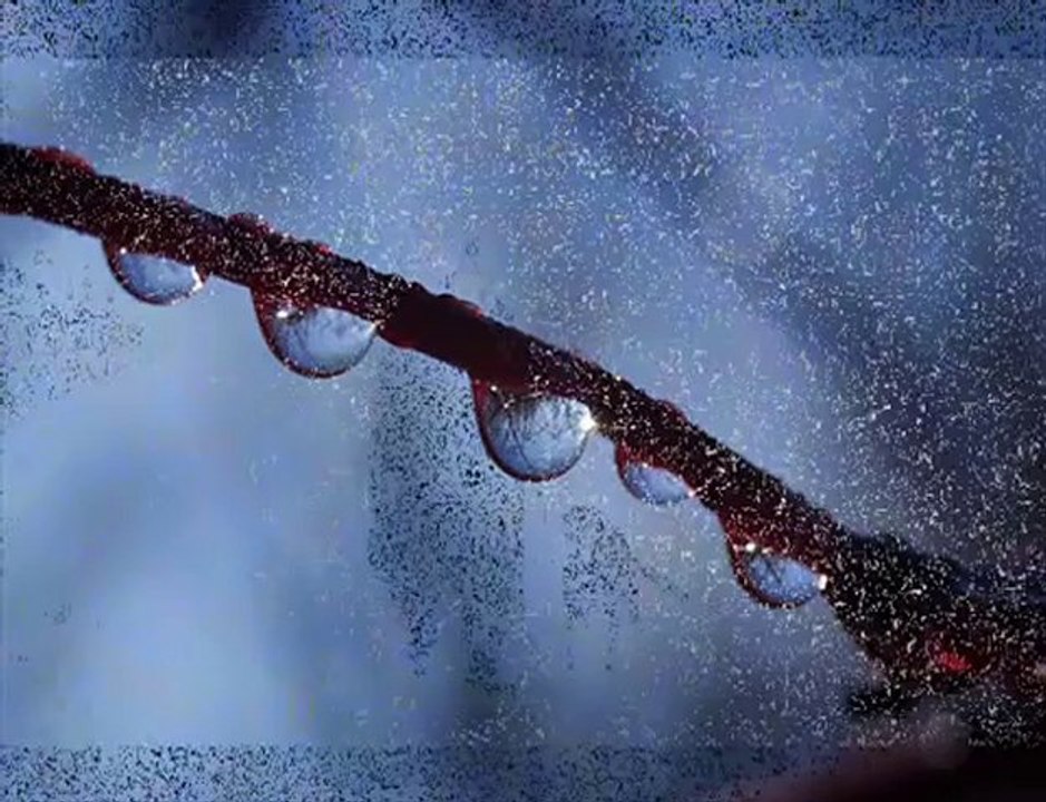 Sokratis Malamas - to tragoudi tou methismenou