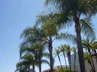 USA WTF PART IV San Diego California