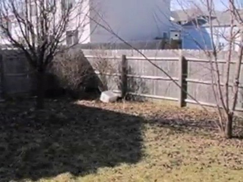 Homes for Sale - 1652 Wind Song Ln - Aurora, IL 60504 - Cold