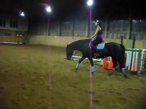 Paradox - dressage, pas et trot