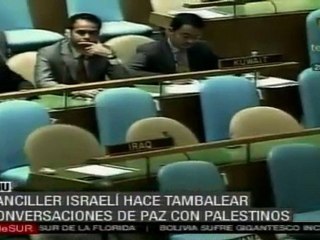 Paz con Palestina podría tardar décadas, asegura canciller