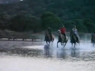 Sardegna Chia galoppo sulla laguna di Spartivento.