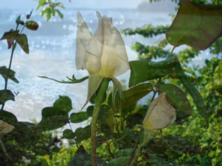 MURAT ODUNCU İMTİHAN HATTABOĞLU