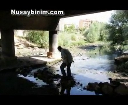 Nusaybin'de Dere yatağında 2 El bombası bulundu