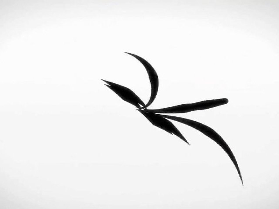 Super Street Fighter IV 3D Edition - Trailer