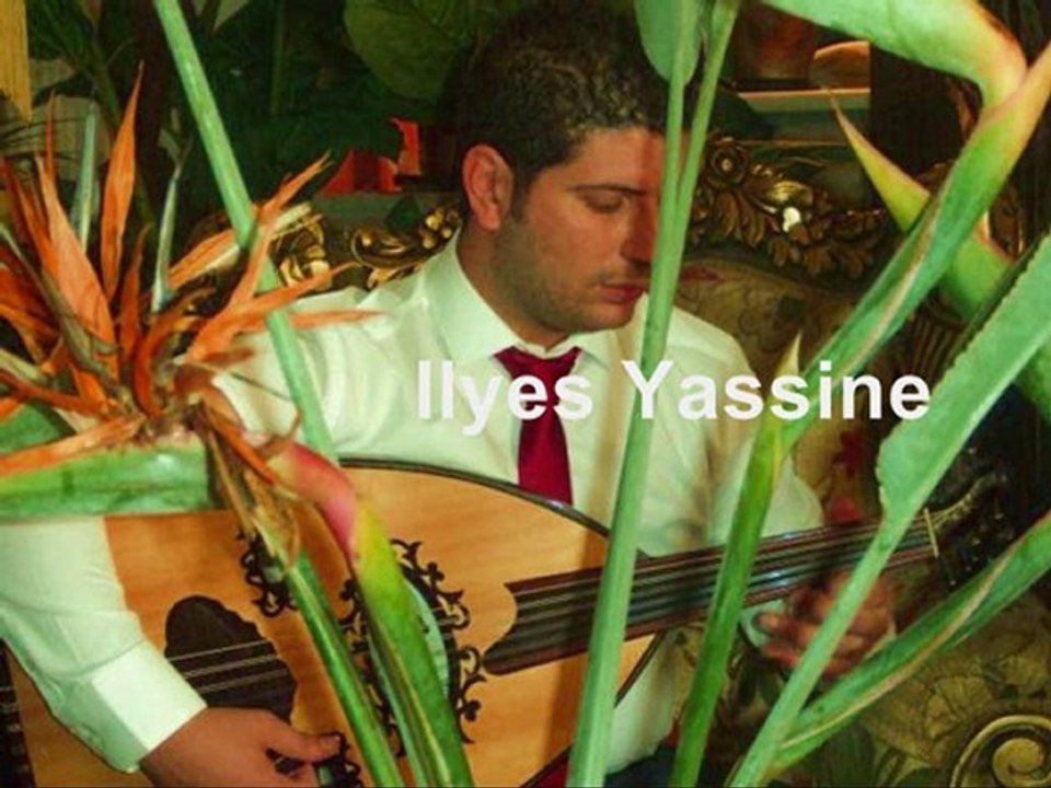 A la découverte du luthiste Ilyes Yassine