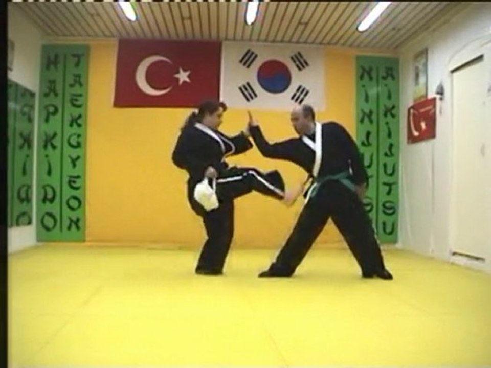 Bayan Hapkidocular artık heryerde